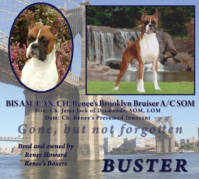 Buster