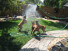 'Summer Fun in the Backyard'